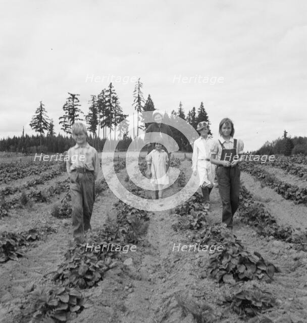 Possibly: The Arnold children and mother on their newly...Michigan Hill, Thurston County, 1939. Creator: Dorothea Lange.
