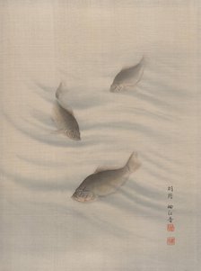 Fishes Swimming, ca. 1890-92. Creator: Seki Shuko.