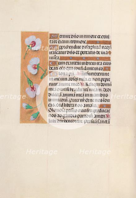 Hours of Queen Isabella the Catholic, Queen of Spain: Fol. 53v, c. 1500. Creator: Master of the First Prayerbook of Maximillian (Flemish, c. 1444-1519); Associates, and.