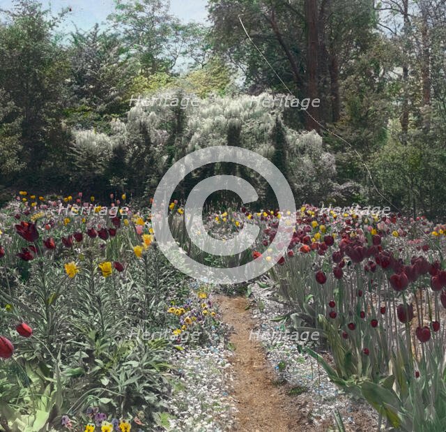 "Willowmere," Rear Admiral Aaron Ward house, 435 Bryant Avenue, Roslyn Harbor, New York, c1914. Creator: Frances Benjamin Johnston.