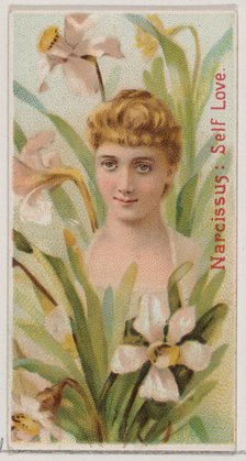 Narcissus: Self Love, from the series Floral Beauties and Language of Flowers (N75) for Du..., 1892. Creator: Donaldson Brothers.