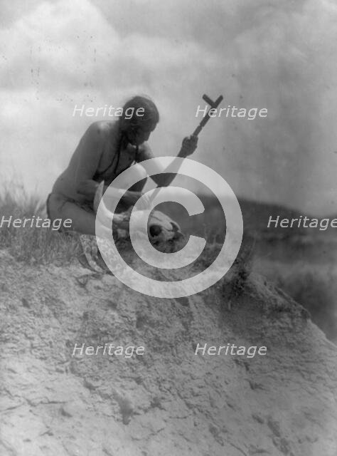 The offering-Hu Kalowa Pi ceremony, 1907, c1907. Creator: Edward Sheriff Curtis.