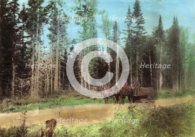 Roller for rolling road surfaces, 1906-1908. Creator: Dorozhno-Stroitel'nyi Otdel.