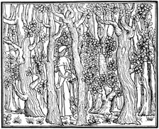 The Lover in the Wood, 1499 (1964). Artist: Anon