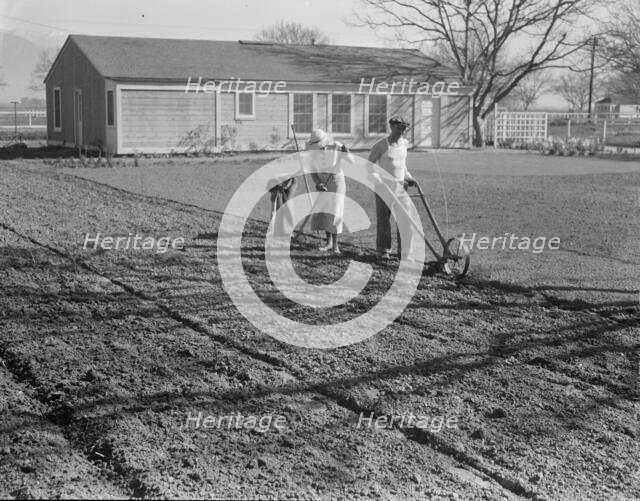 El Monte federal subsistence housing, California, 1936. Creator: Dorothea Lange.