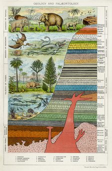 'Geology and Palaeontology', c1880. Artist: Unknown