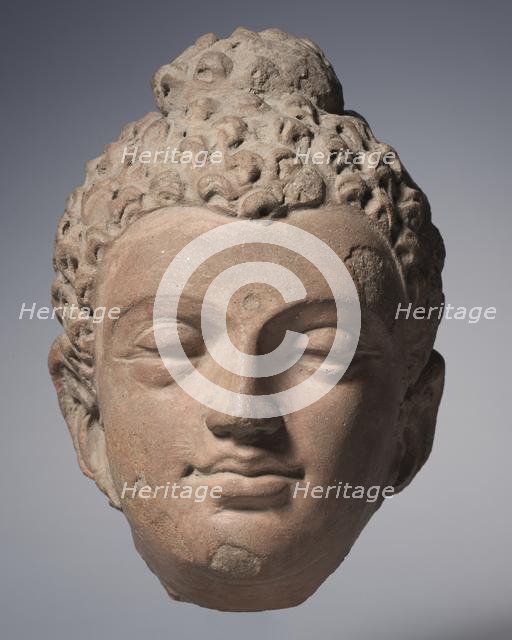 Head of Buddha, 700s. Creator: Unknown.