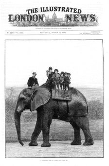'A Farewell Ride on Jumbo', London Zoo, 1882. Artist: Unknown