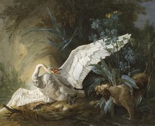 Water Spaniel Surprising a Swan on its Nest, 1740. Creator: Jean-Baptiste Oudry.
