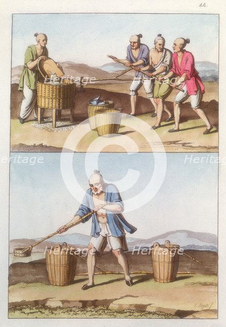 Chinese agriculture, 1825-1835 Artist: Unknown