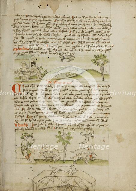 A Mouse in a Wagon and a Frog Scrambling Up Steps: A Dog and..., third quarter of 15th century. Creator: Unknown.