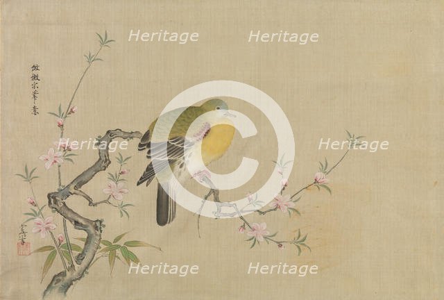 Album of Copies of Chinese Paintings, 17th century. Creator: Kanô Yôboku Tsunenobu.