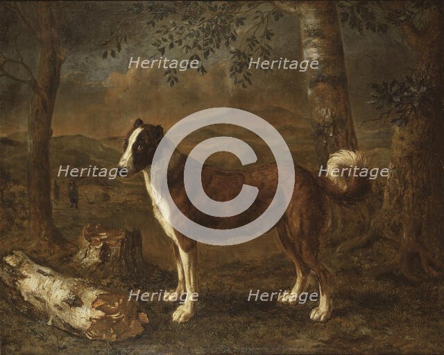 Dog and a Birch Log. Creator: Govert Dircksz Camphuysen.