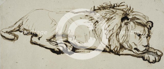 Sleeping lion. Creator: Rembrandt Harmensz van Rijn.