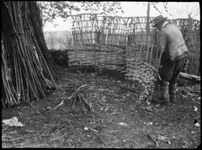 A hurdle maker at work near the town of Alton, East Hampshire, Hampshire, 1920-1960. Creator: George R Long.