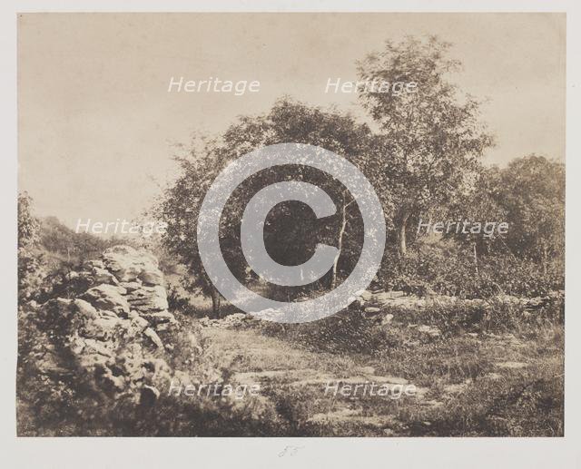 Untitled (Scene of Fontainbleau), c. 1853. Creator: André Giroux (French, 1801-1879).