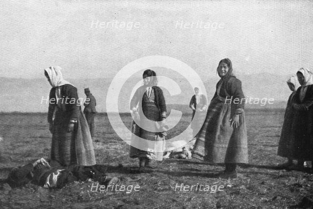 'Les premieres victimes des aeroplanes allemands, le 30 decembre : deux moutons..., 1915. Creator: Unknown.