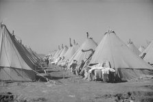 Flood refugee encampment at Forrest City, Arkansas, ca. 1937. Creator: Walker Evans.