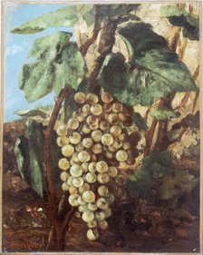 Grappe de raisins, 1871. Creator: Gustave Courbet.