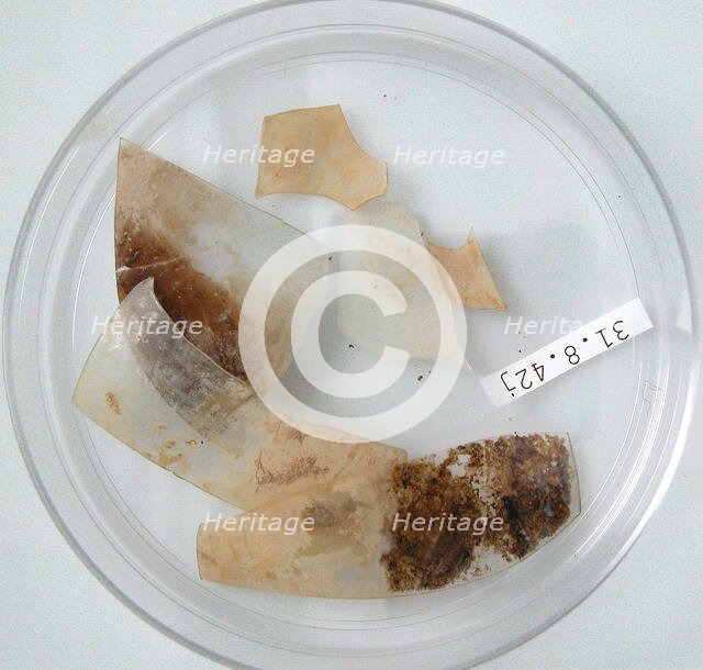 Glass Fragments, Coptic, 4th century. Creator: Unknown.