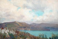 Wellington Harbour from Muritai,  c1910. Creator: Clas Edvard Fristrom.