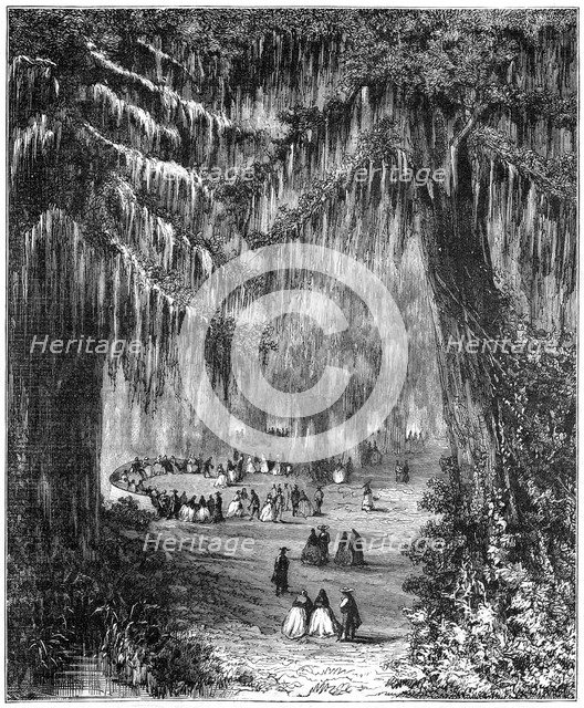 Cypress grove at Chapultepec, Mexico City, 1877. Artist: Unknown