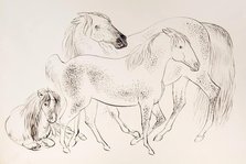 A group of three horses, 1825-1839. Creator: James Howe.