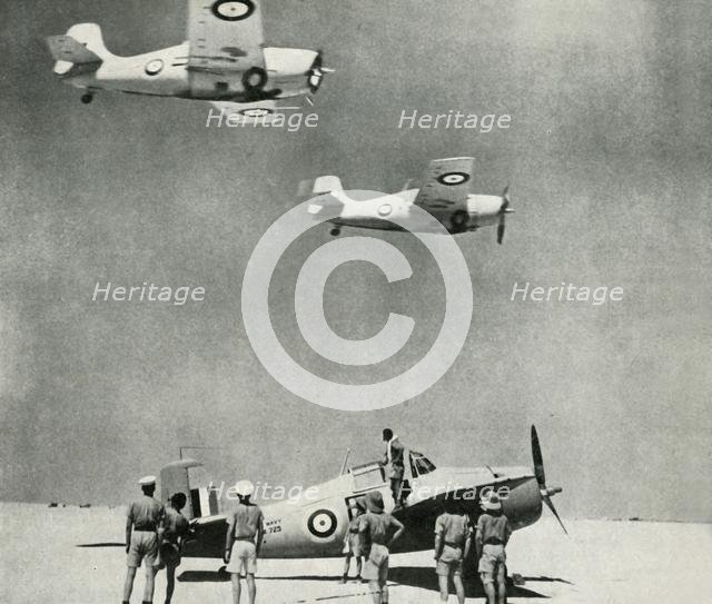 'Desert Squadron' - planes of the Fleet Air Arm during the Second World War, c1943. Creator: Unknown.
