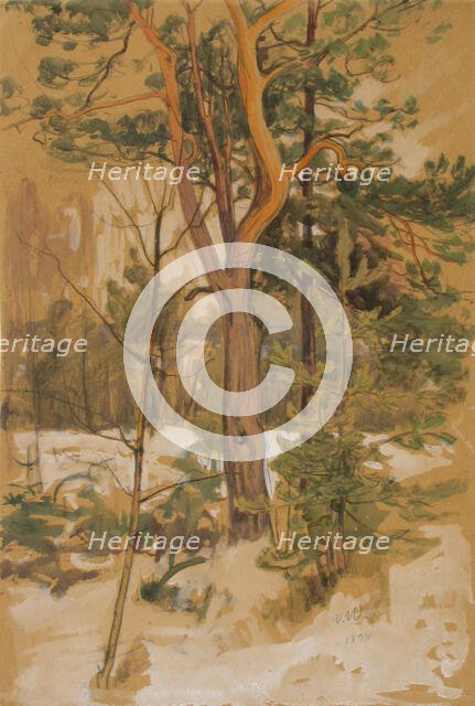 Landscape Study, 1894. Creator: Victor Westerholm.