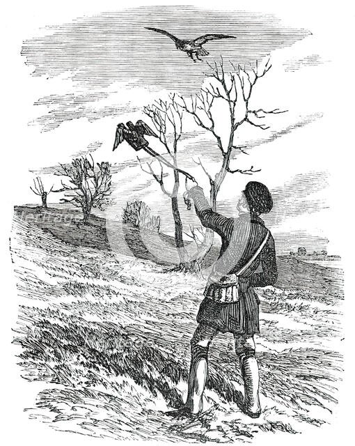 Hawking - the Lure, 1850. Creator: Unknown.