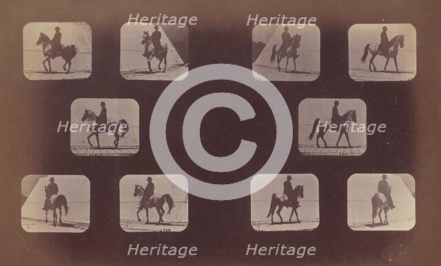 Studies of Foreshortenings. Horses. Walking. Mahomet. Nos. 119-120, 1879. Creator: Eadweard J Muybridge.