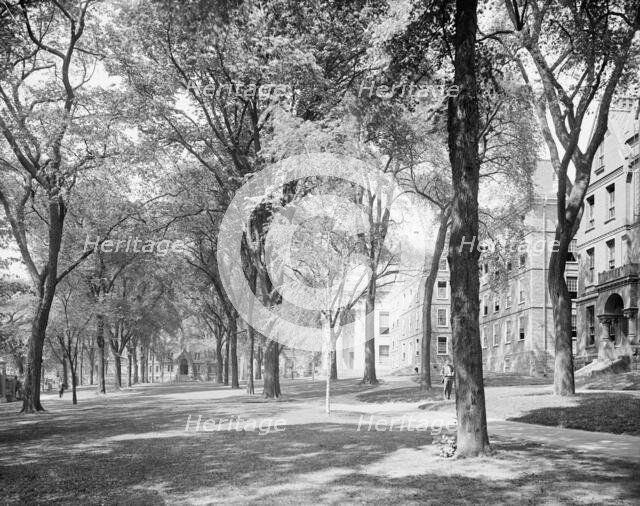 Front campus, Brown University, Providence, R.I., c1906. Creator: Unknown.