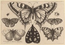 Five Butterflies, a Moth, and Two Beetles, 1646. Creator: Wenceslaus Hollar.