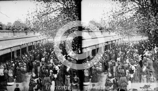 Zoological Gardens, Regent's Park, Westminster, London, c1870-1900. Artist: York & Son