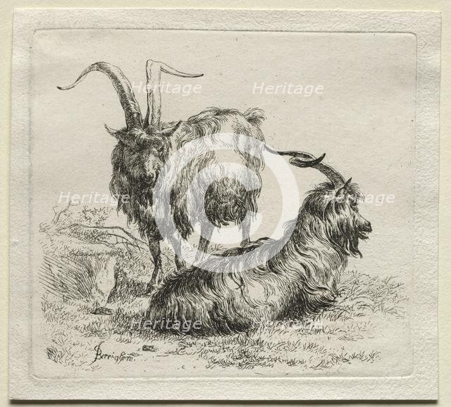 Two Goats. Creator: Nicolaes Berchem (Dutch, 1620-1683).