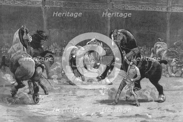 ''The Shire Horse Show at the Agricultural Hall--The effect of applause', 1890. Creator: Unknown.