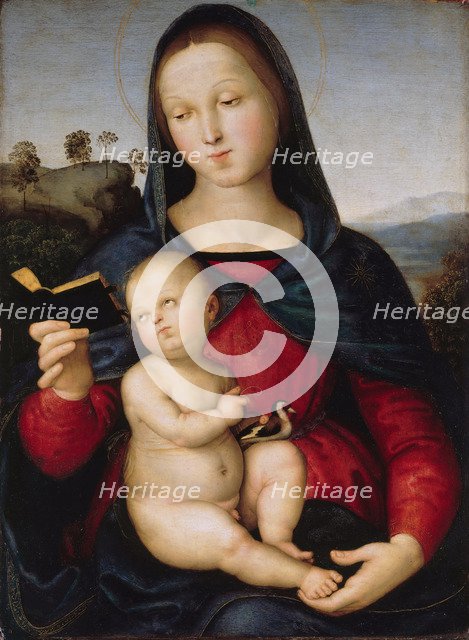 The virgin Mary is reading a book (The Solly Madonna), c. 1502-1503.