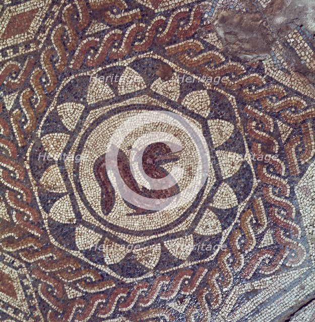 Detail of a mosaic depicting a snake in the Roman house of the Merida Amphitheater.