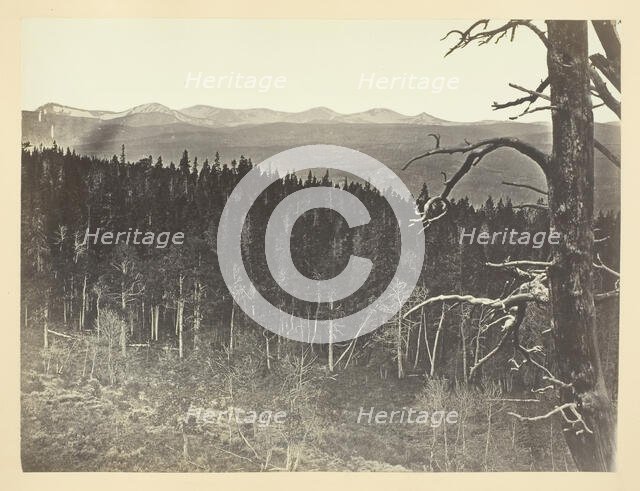 Snow and Timber Line, Medicine Bow Mountain, 1868/69. Creator: Andrew Joseph Russell.