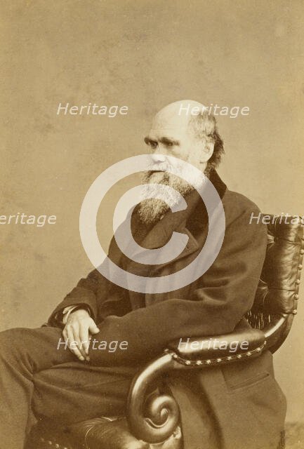 Charles Darwin, c1870s.  Creator: London Stereoscopic & Photographic Co.