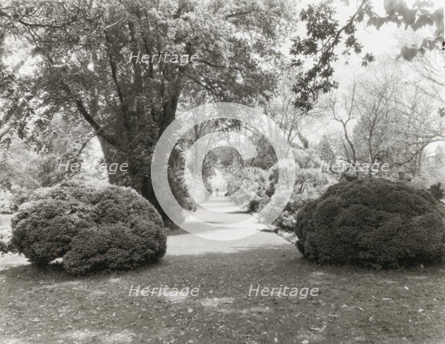 "Brandon," Robert Williams Daniel house, Prince George County, Virginia, 1928. Creator: Frances Benjamin Johnston.