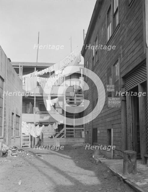 Slums of San Francisco, California, 1935. Creator: Dorothea Lange.