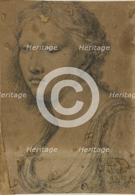 Bust of Woman, n.d. Creator: Girolamo da Carpi.