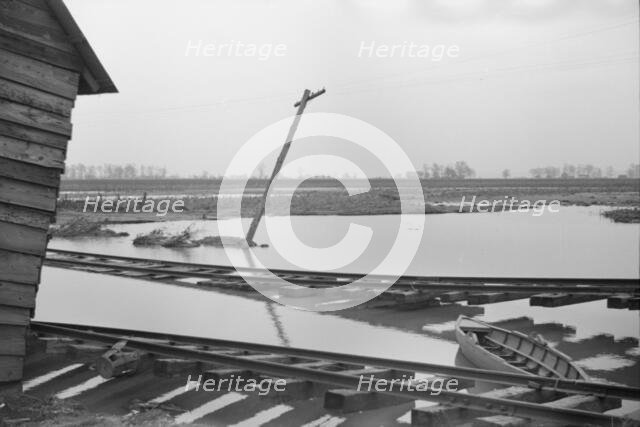 Possibly: Farmyard covered with flood waters near Ridgeley, Tennessee, 1937. Creator: Walker Evans.
