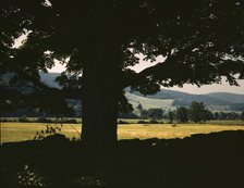 Farmland along the upper Delaware River in New York state, 1943. Creator: John Collier.