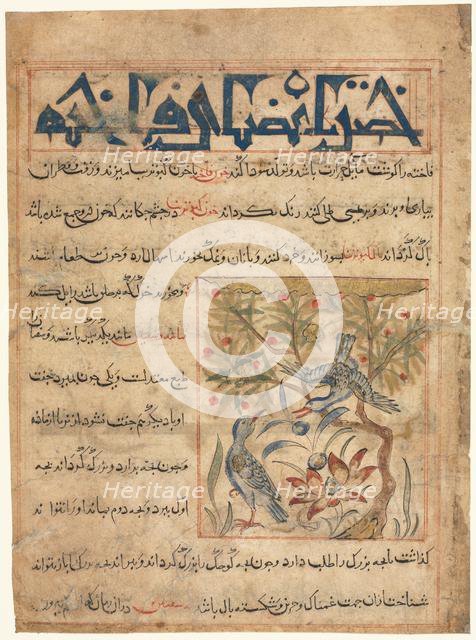 Qualities of Ringdoves (recto) from a Manafi al-Hayawan (On the Usefulness of Animals)…, c. 1300. Creator: Unknown.