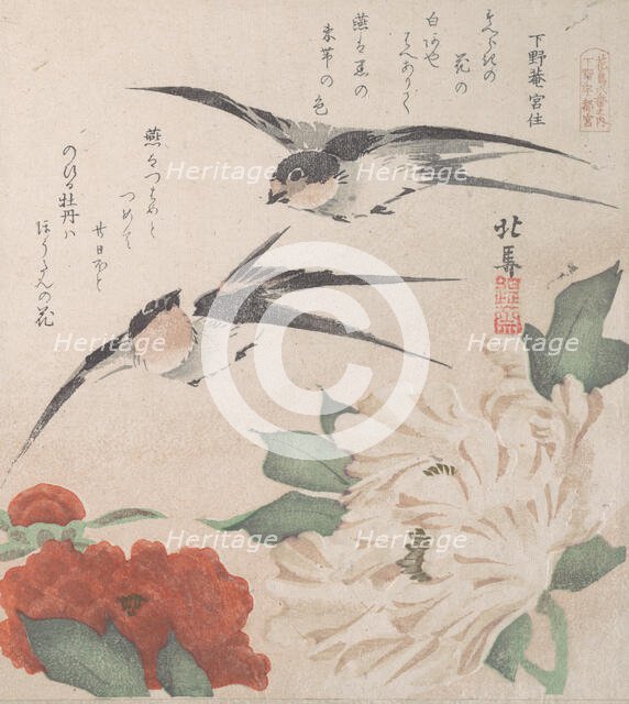 Spring Rain Collection (Harusame shu), vol. 3: Swallows and Peonies, ca. 1820., ca. 1820. Creator: Hokuba.