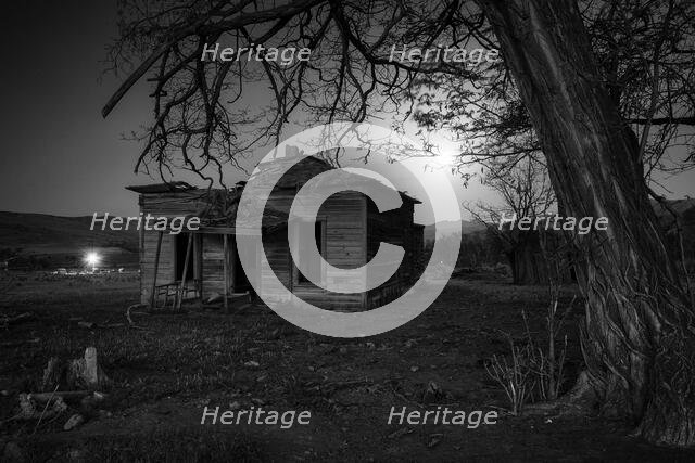 Lost in Time. Creator: Joshua Johnston.