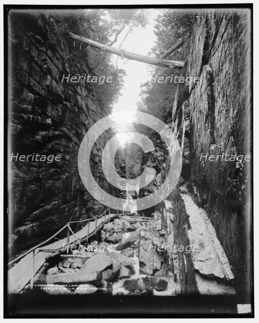 The Flume, looking up, Franconia Notch, White Mountains, c1901. Creator: Unknown.