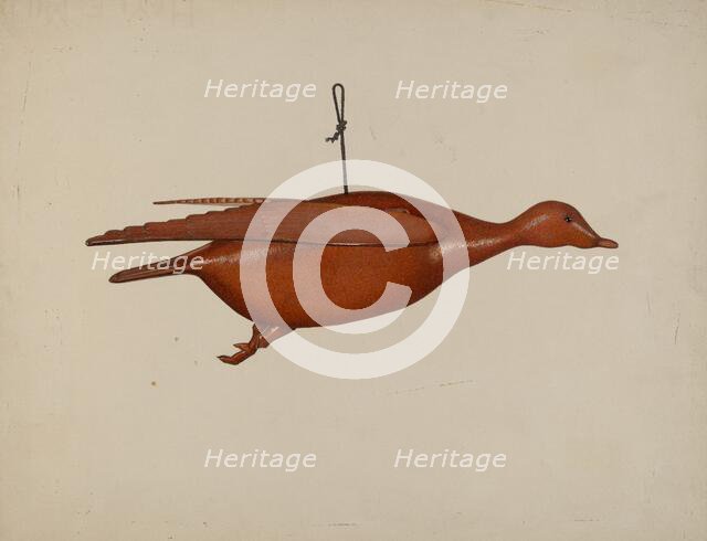 Flying Duck, c. 1939. Creator: Malcolm Hackney.